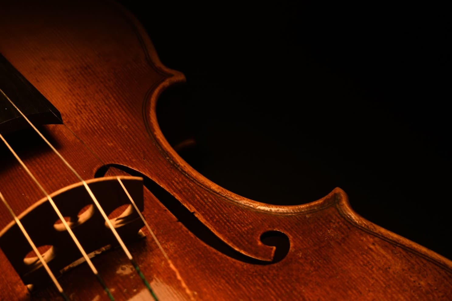 violin's neck