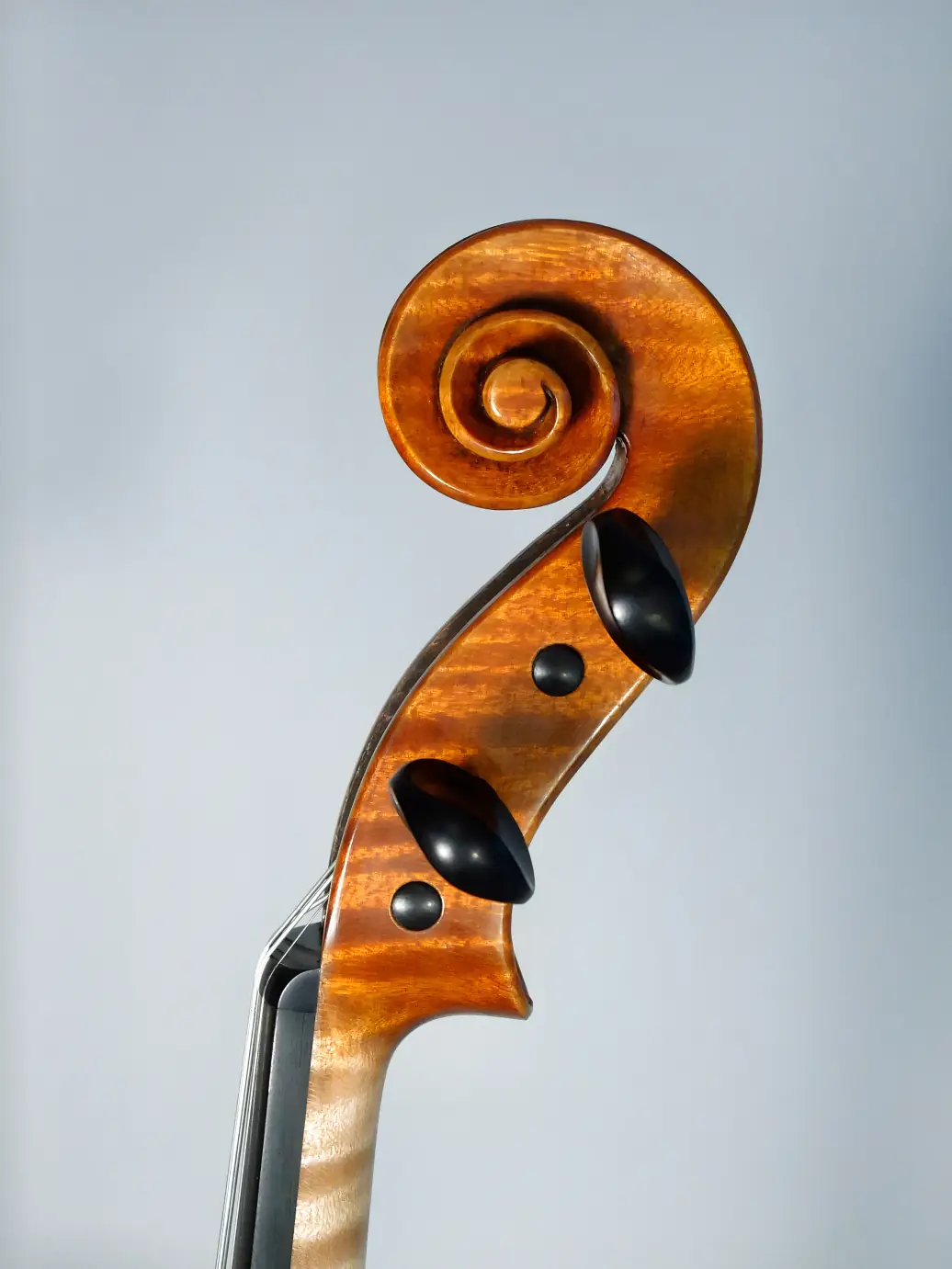 Violin made by Piotr Kulcenty