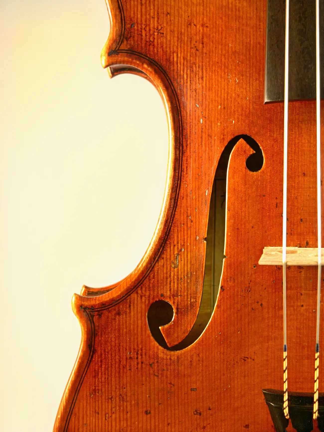 Violin made by Piotr Kulcenty