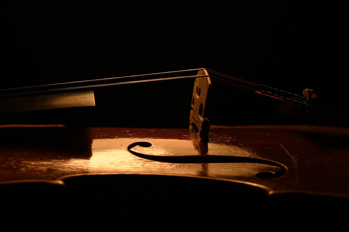 violin's neck